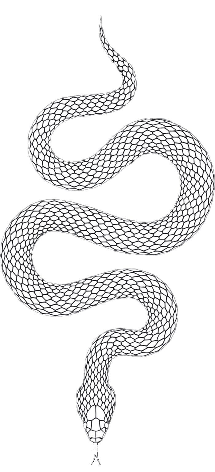 Serpent dessiné des services d'UGroupe. Contient les logos et une description des services proposés par U-Groupe.